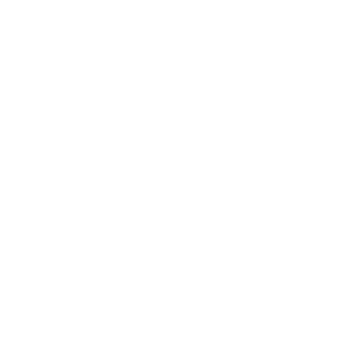 MisterLink